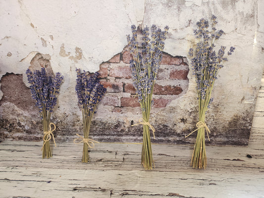 Dried Lavender Bundles