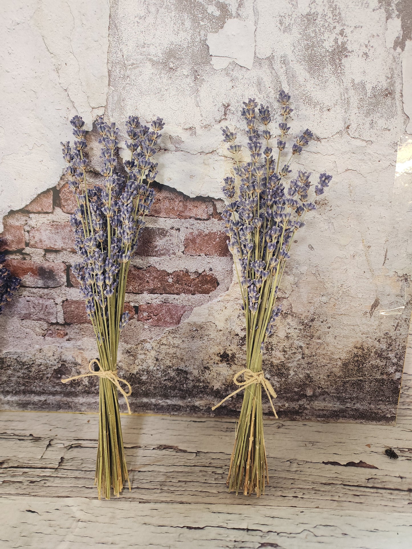 Dried Lavender Bundles