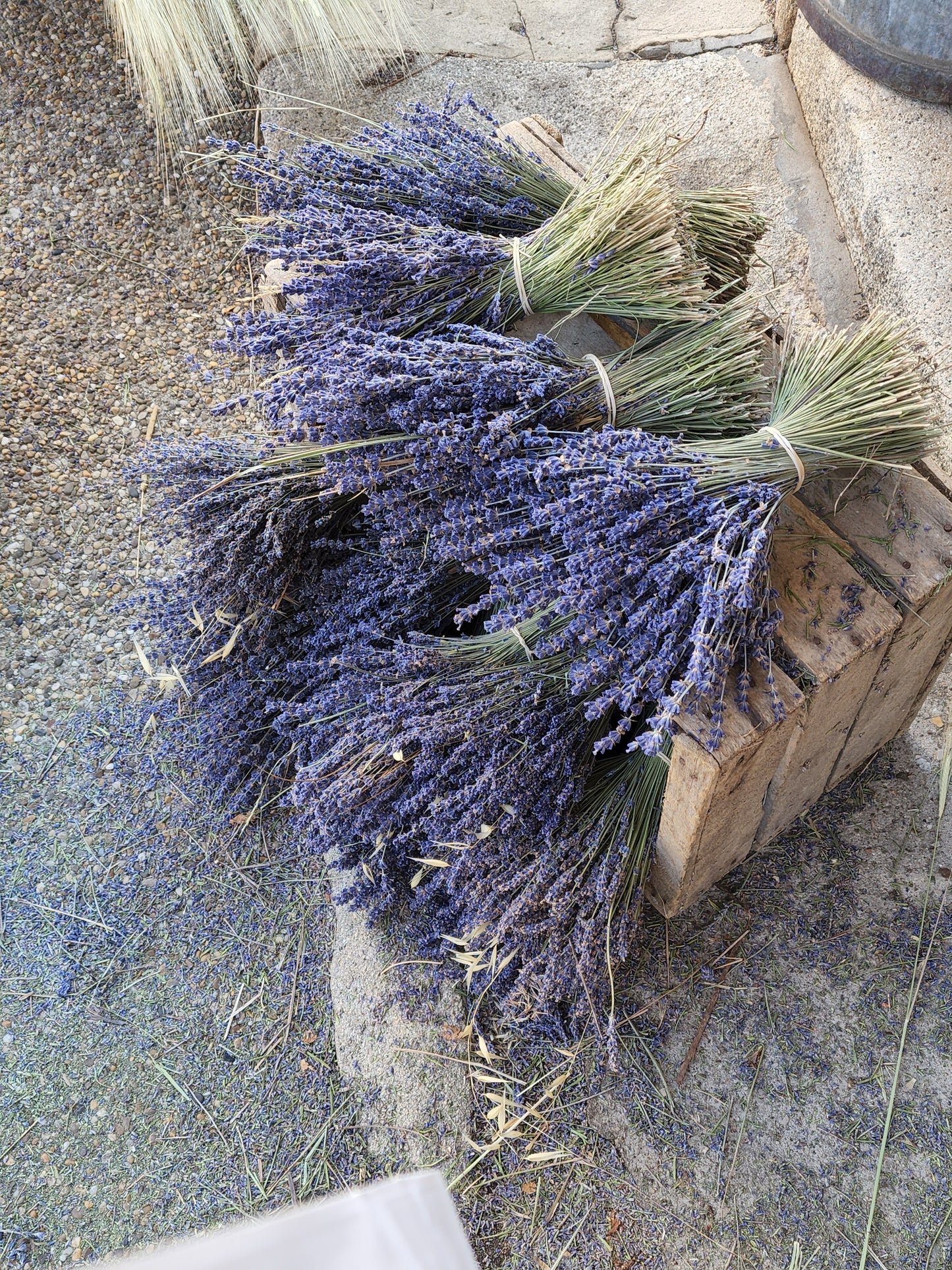 Lavender Bliss Sachet: Natural Aromatherapy for Relaxation and Serenity