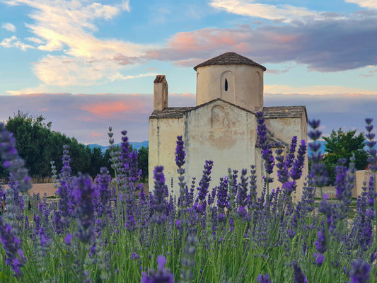 The History of Lavender - Part 2: Medieval Times